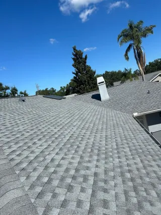 GAF Timberline HDZ Shingle Replacement — Lawnside Ave Area, Safety Harbor, FL