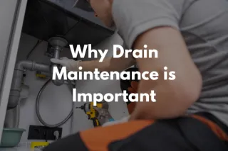 Drain Maintenance
