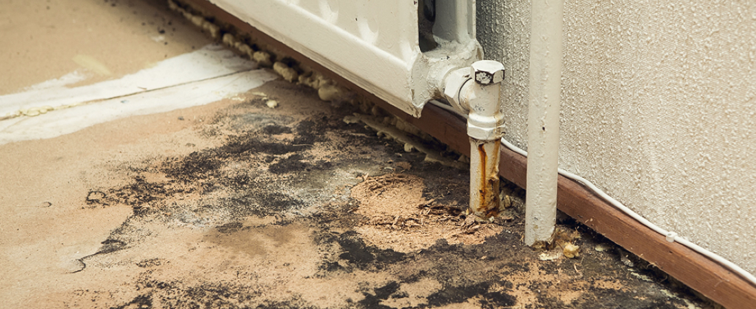 Hidden Slab Leaks: Signs, Risks & What Bakersfield Homeowners Should Do