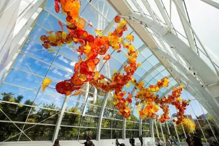 🎨 Art You Can Feel: A Day at Centerpiece Gallery in Seattle