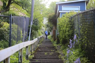 Take the Scenic Route—Why the Melrose Trail Staircase is Seattle’s Best Urban Climb