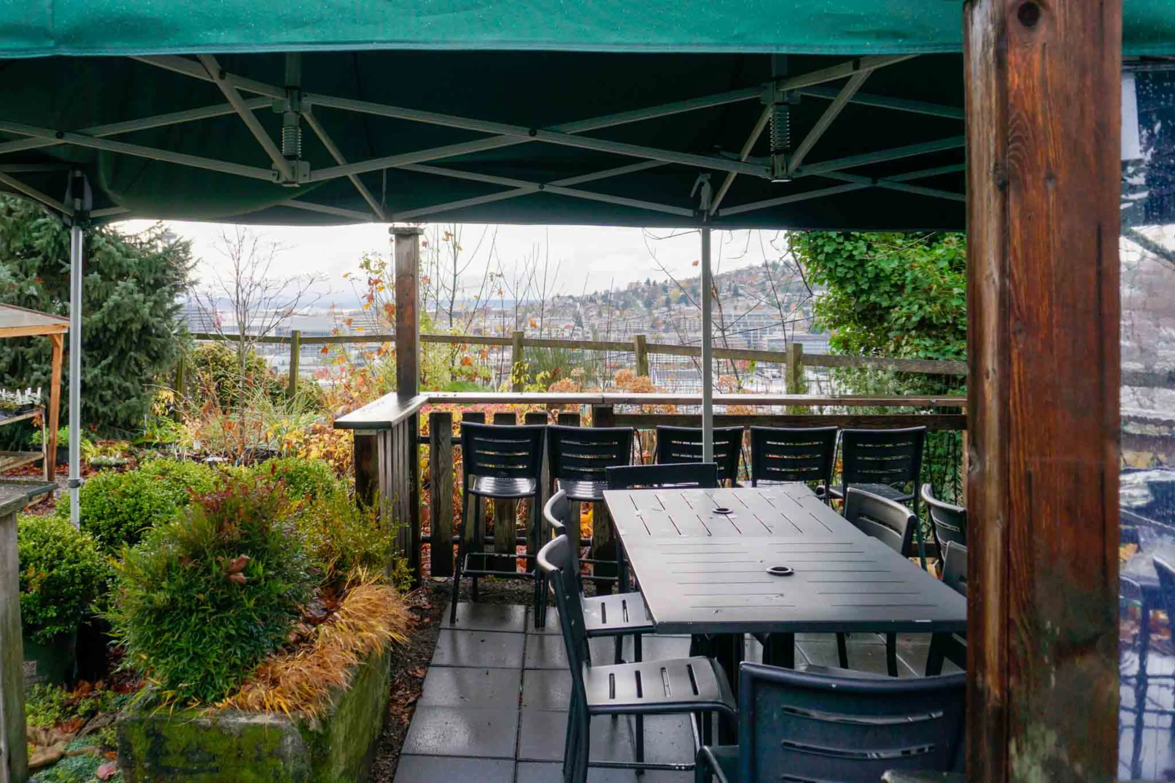 🌟 The Lookout: Capitol Hill's Hidden Gem with a View! 