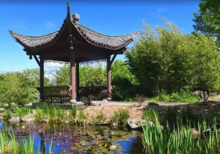🏯 Seattle Chinese Garden, Seattle, Washington — A Peaceful Oasis in the City