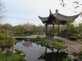 🌿 A Peaceful Escape in the City: Exploring the Seattle Chinese Garden | Seattle, WA 🌿