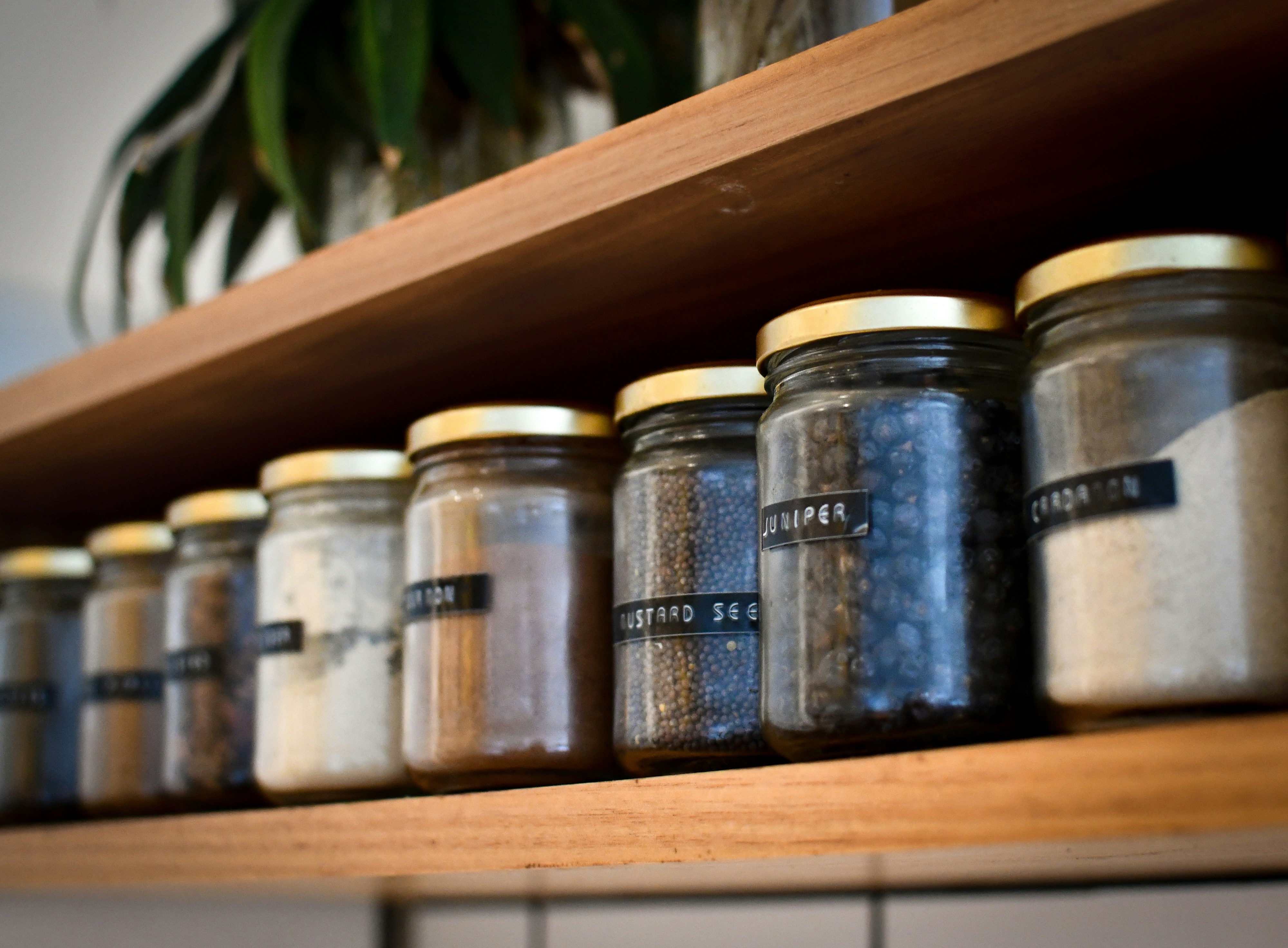 The Wisdom in Your Spice Cupboard