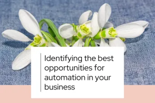 Where to Start with Business Process Automation