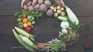 Yeşil Gelecek İçin Sürdürülebilir Tarımın Önemi ve Uygulamaları