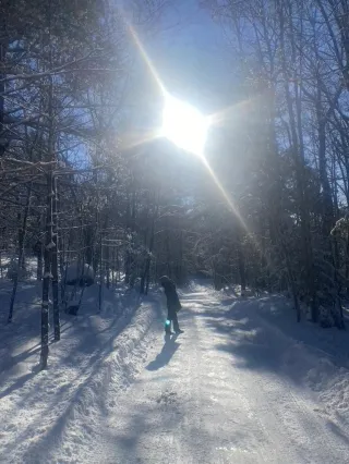 Winter Solstice Healing Circle Reflections