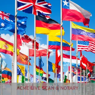 Apostille Services for Birth Certificates and Other Vital Records