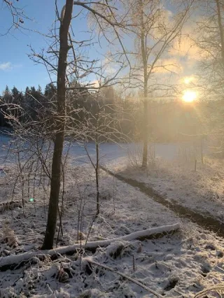 Har du något som skaver?