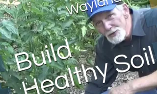 ‘Come On, Let’s Plant’: Wayland Smalley Brings Cherokee Roots, Ruth Stout Wisdom to Backyard Gardening