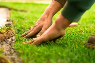 Landscaping Services in Cambridge MN: What to Expect