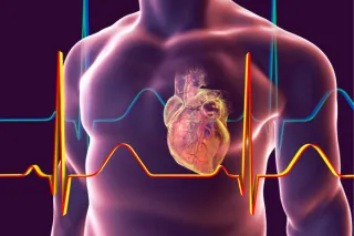 The Shocking Truth About Aerobic Exercise and Your Heart Health!