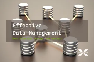 Data Management: Tips and Tools for Effective Data Collection, Storage, and Analysis