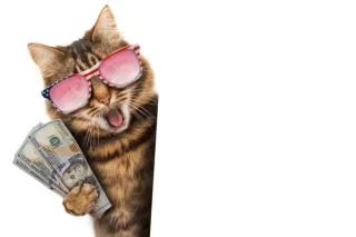  7 Steps to Launching Your Cat-Sitting Business