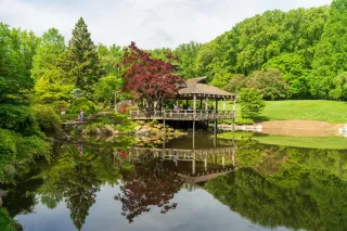 A Hidden Oasis in Maryland: Explore Brookside Gardens