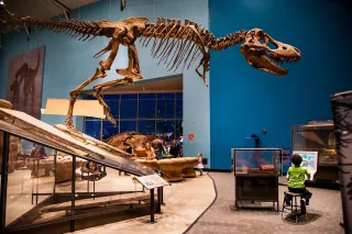 🚀 Unleash Your Inner Scientist at the Maryland Science Center! 