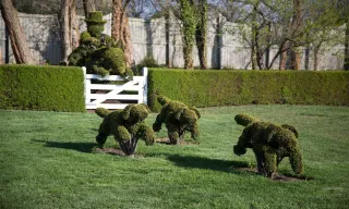 🌿Exploring the Whimsical Charm of Ladew Topiary Gardens