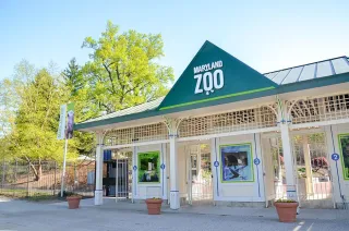 🦁 Wild Wonders Await: Explore the Maryland Zoo in Baltimore