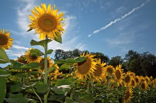 Acts of Courage: First Responders Who Inspire the World