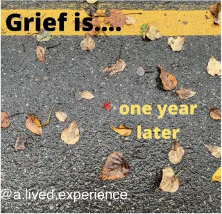 Grief is…one year later
