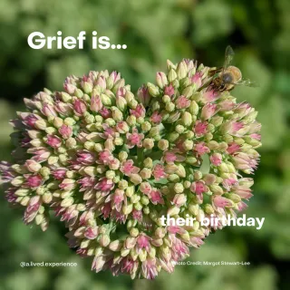 Grief is…their birthday