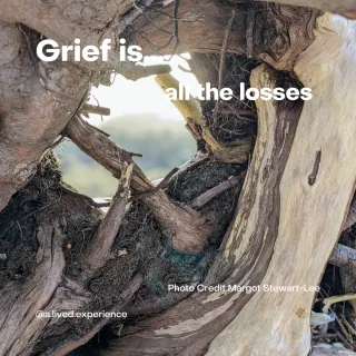 Grief is…All the Losses