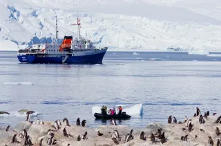 What It’s REALLY Like on an Antarctica Expedition Cruise (From Someone Who’s Actually Been There)