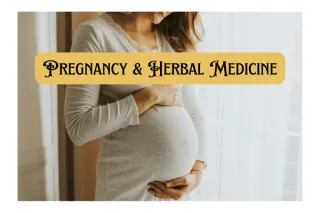 Pregnancy & Herbal Medicine