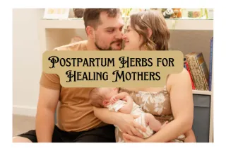 Postpartum Herbs