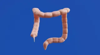 Prebiotici intestinali