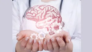 You Cannot Detox the Brain Alone. Here’s Why Your Whole Body Must Work With It