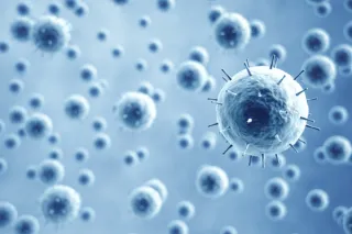 Unseen Enemies at Home: Identifying Sources of Indoor Air Quality Contaminants