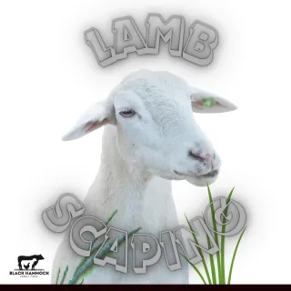 Lamb-Scaping: The Sustainable Solution for Florida's Land Management