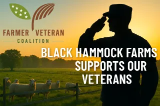 Black Hammock Farms: Where Service Meets Soil