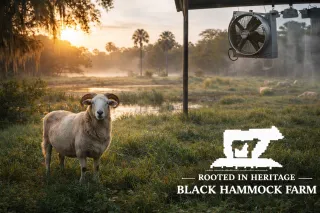 Built to Belong Here