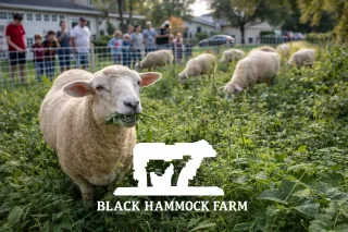 Grazing for the Greater Good