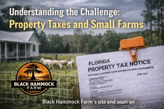 Property Taxes and Small Farms
