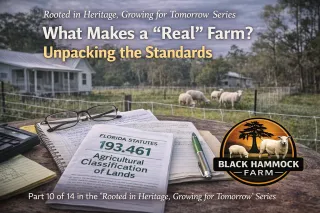 What Defines a Real Farm in Florida?