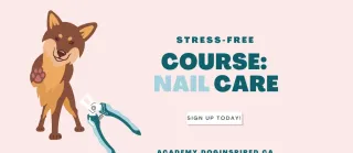 Cutting Your Dog's Nails