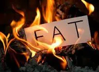 Fat Burning 101