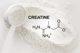 Creatine; It's Not Just For Gym Bro's