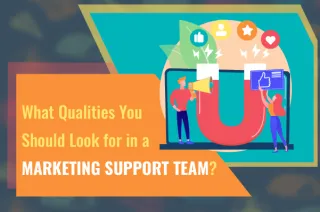 What Qualities You Should Look for in a Marketing Support Team?