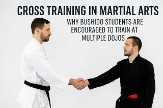 Cross Training in Martial Arts