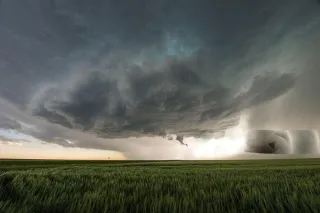 Your Roof Is Leaking — Here’s What You Should Do Next