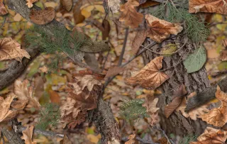 How Leaves on Your Roof Can Secretly Damage Shingles and Shorten Roof Lifespan