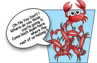 What Does The "Crabs In The Bucket" Story Teach Us?
