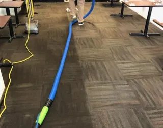 5 Warning Signs Your Carpet Needs Professional Cleaning Now