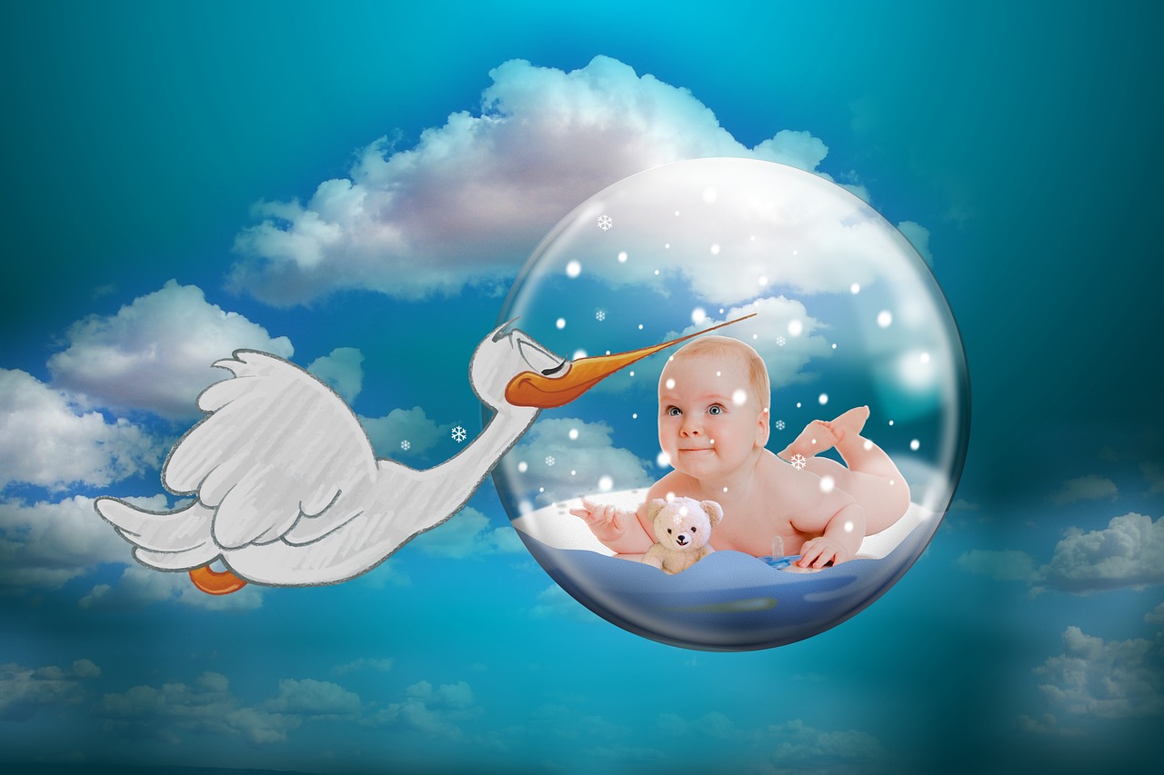 Ready for Baby: Why Your Journey Starts Before the Positive Test