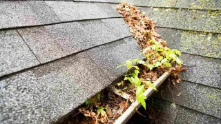 Are Copper Gutters Worth the Investment? Pros & Cons
